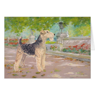 Dappled Afternoon Shade