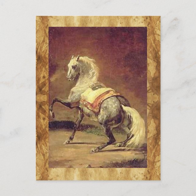 DAPPLED GRAY HORSE POSTKARTE (Vorderseite)