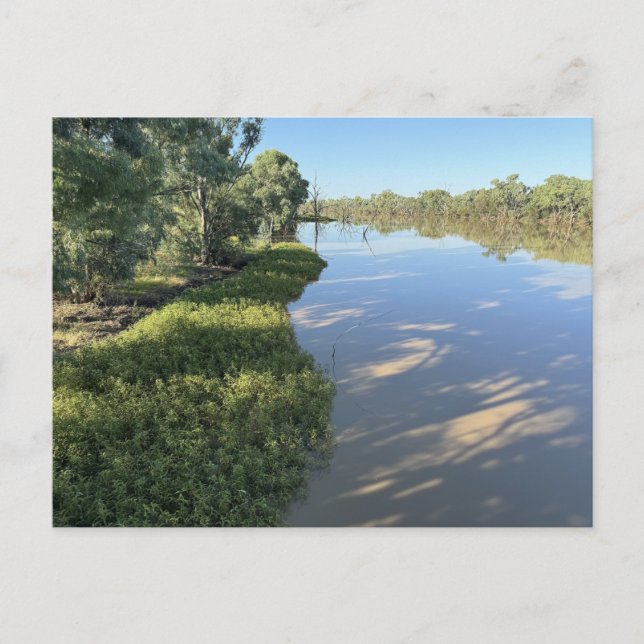 Darby Land Bridge am Warrego River Postkarte (Vorderseite)