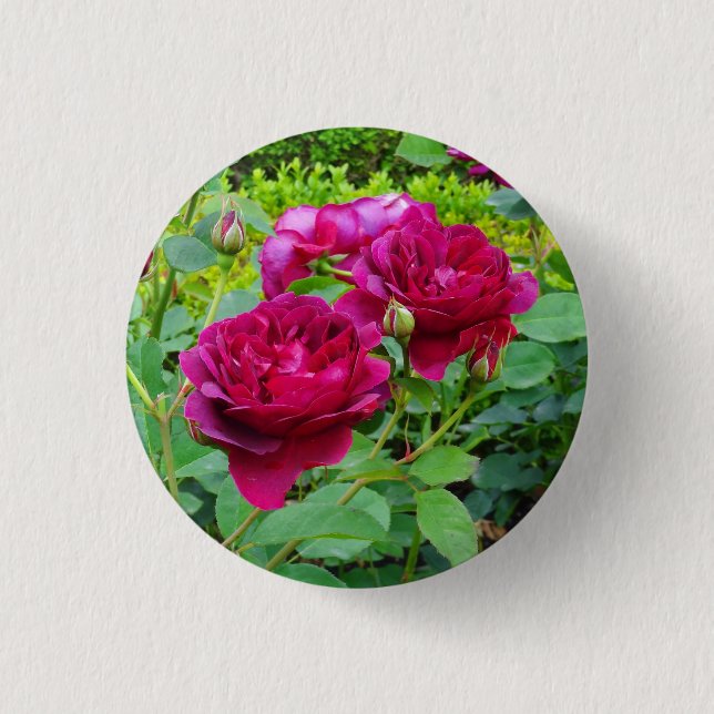 Darcey Bussell Rose #2 Button (Vorderseite)