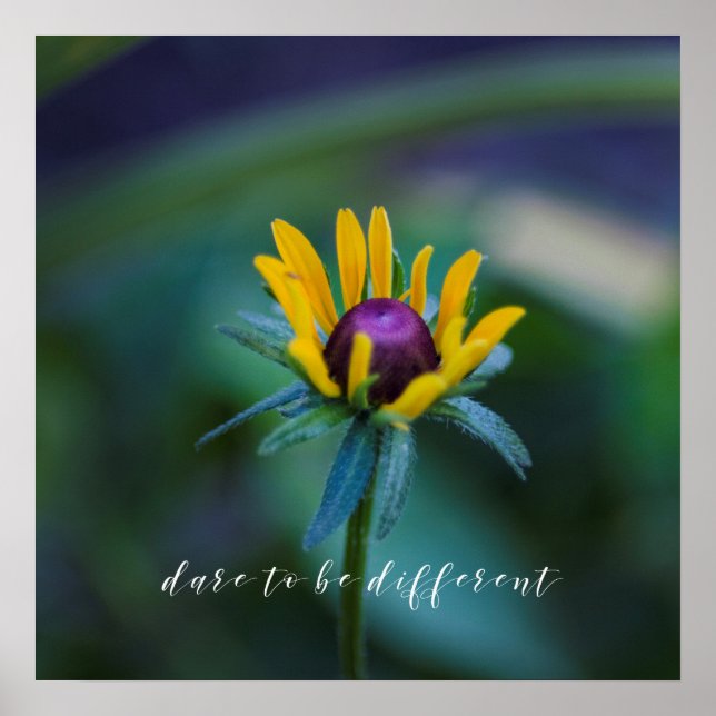 Dare to be different - Schöne Blume Foto Poster (Vorne)
