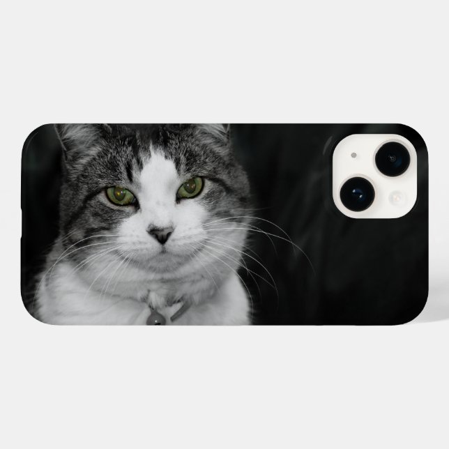 Dare to look in my Green Eyes iPhone Case (Rückseite (Horizontal))