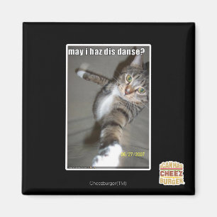 Darf ich tanzen? magnet