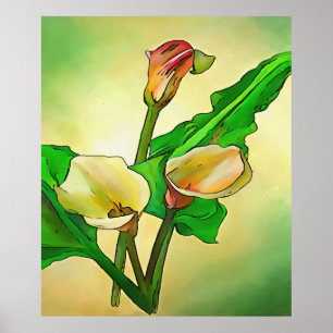 Dargestellt Calla Lilies gegen ein grünes Ombre Poster