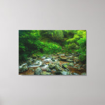Dargle River Canvas Wall Art | Ireland Lush Forest