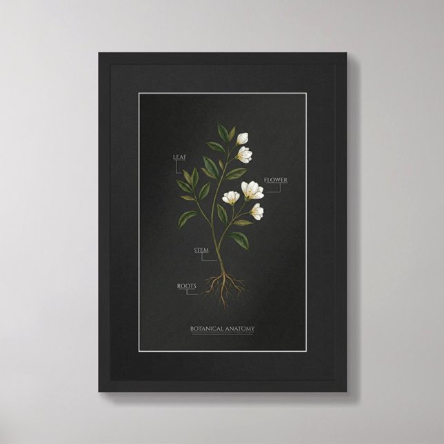 Dark Academia Botanical Anatomy Poster (Von Creator hochgeladen)