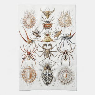 Dark Academia Haeckel Vintage Spinne Symmetrie Kun Geschirrtuch