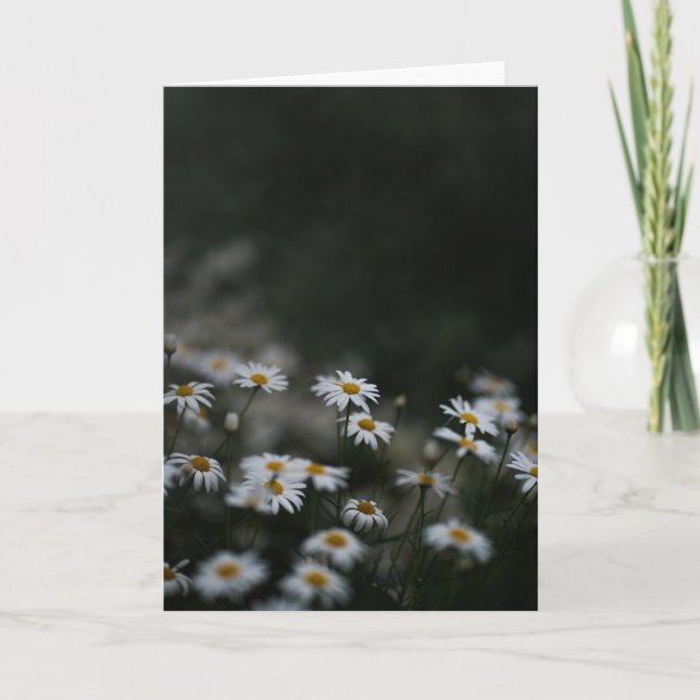 Dark and moody meadow, Sympathy Karte (Vorderseite)