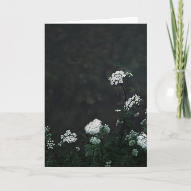 Dark and moody meadow, Sympathy Karte (Vorderseite)