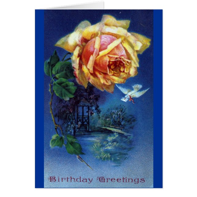 Dark Blue Background Rose und Dock Postcard (Vorne)