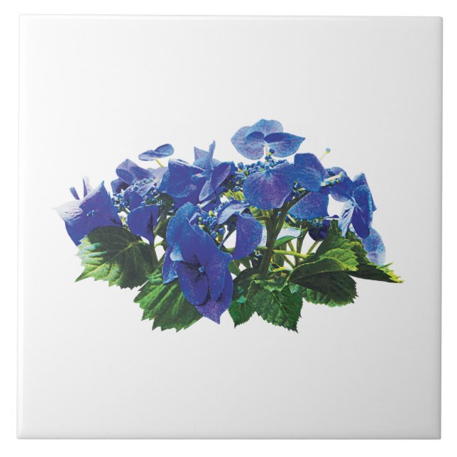 Dark Blue Hydrangea Spitzen Cap Fliese (Vorderseite)
