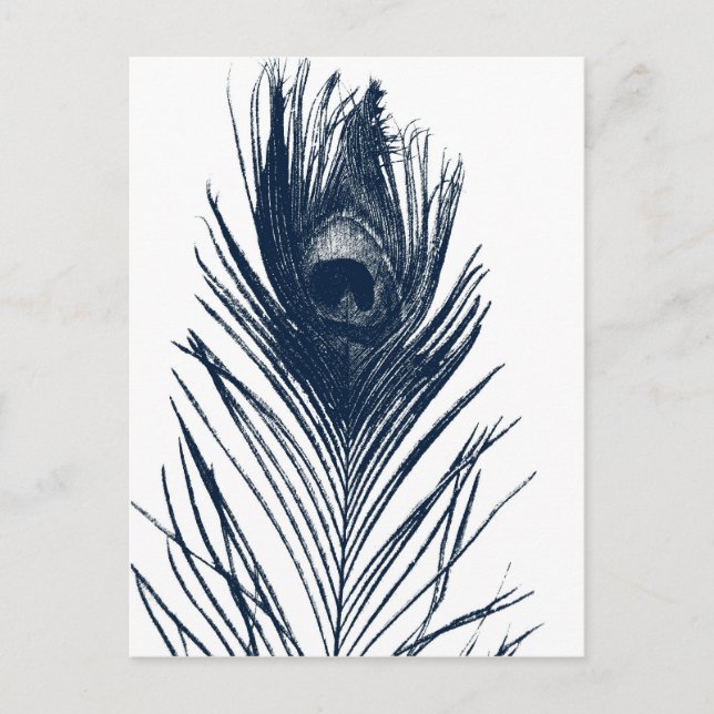 Dark Blue Peacock Feather Postcard Postkarte (Vorderseite)