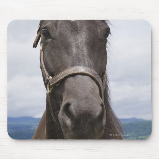 Dark Brown Horse Mousepad (Vorne)