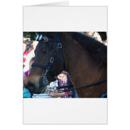 Dark Brown Pferd mit Brille