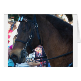 Dark Brown Pferd mit Brille