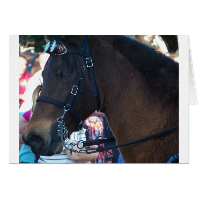 Dark Brown Pferd mit Brille (Vorderseite (Horizontal))