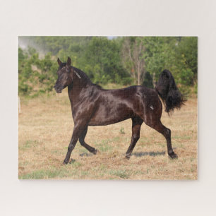 Dark Brown Spanish Mustang Mare Walking Puzzle