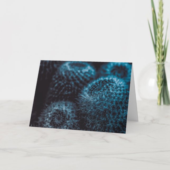 Dark Cactus Karte (Vorderseite)