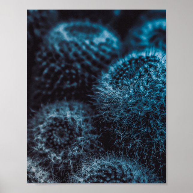 Dark Cactus Poster (Vorne)
