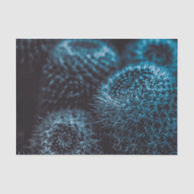 Dark Cactus Seidenpapier (Vorderseite)