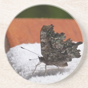 Dark Camouflage Butterfly Getränkeuntersetzer