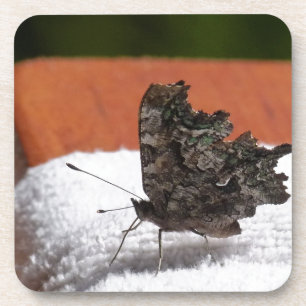 Dark Camouflage Butterfly Untersetzer