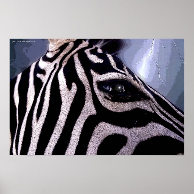 Dark Continent by Gregory Gallo Poster (Vorne)