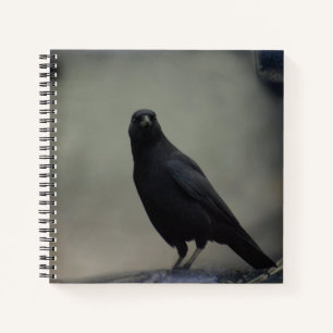 Dark Crow Notizbuch