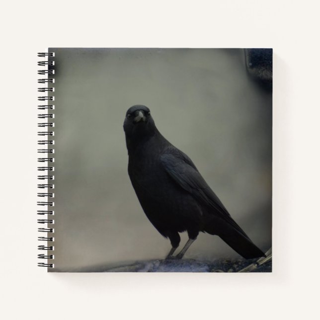 Dark Crow Notizbuch (Vorderseite)