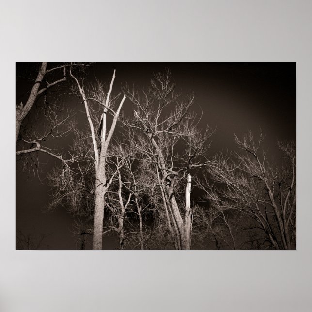 Dark Forest – Haunting Black and White Tree Art Poster (Vorne)