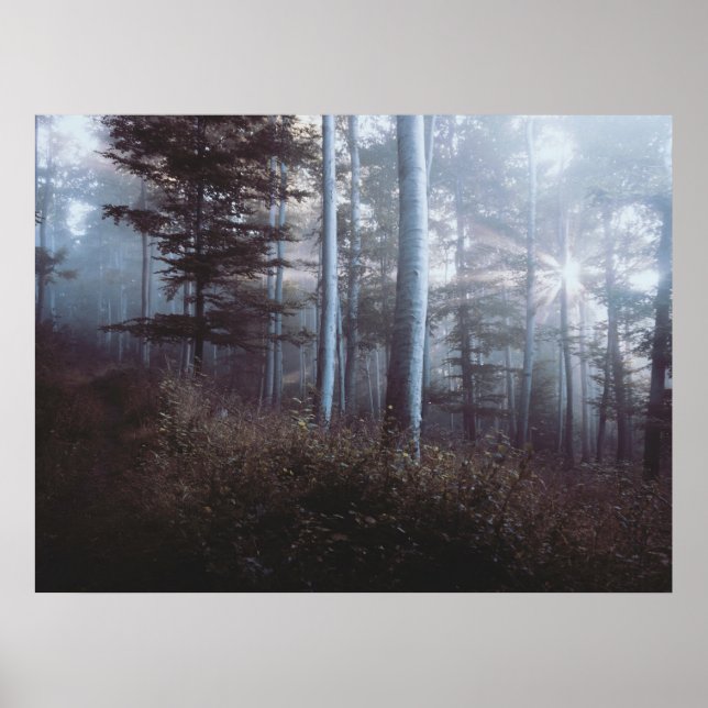 Dark Forest Print Poster Artwork Mural (Vorne)