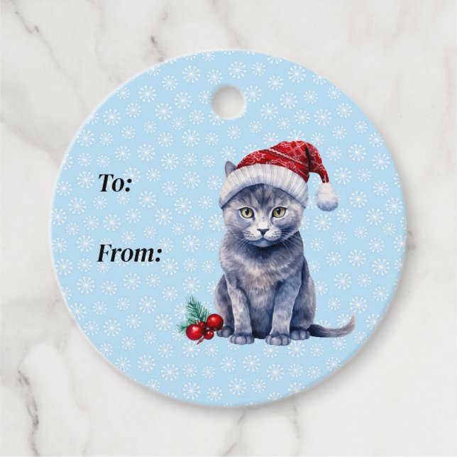 Dark Gray Kitty trägt einen Red Winter Pompom Hat Geschenkanhänger (Vorderseite)