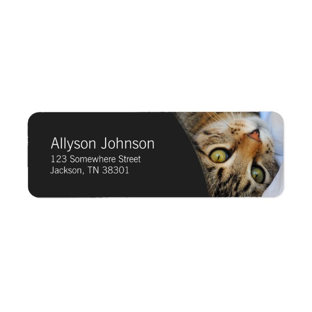 Dark Gray & Tabby Cat Address Labels (Vorne)