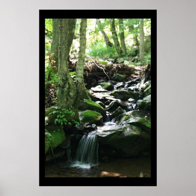 Dark Hollow Falls Print #4836 Poster (Vorne)