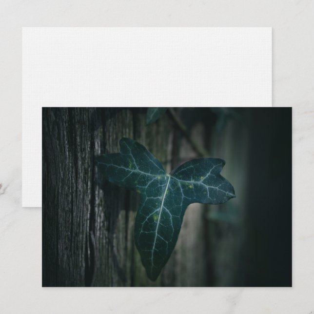 Dark Ivy Leaf Nature Foto Card (Vorne/Hinten)