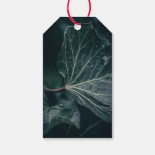 Dark Ivy Leaf Nature Foto Geschenkanhänger
