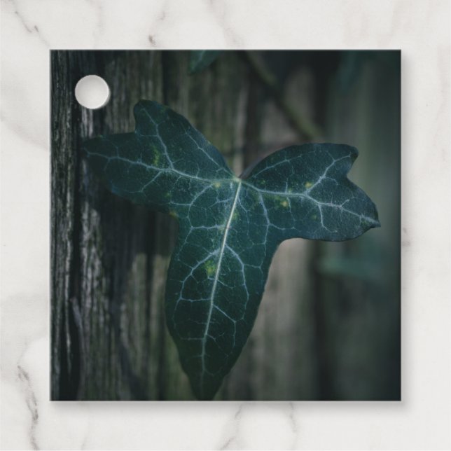 Dark Ivy Leaf Nature Foto Geschenkanhänger (Vorderseite)