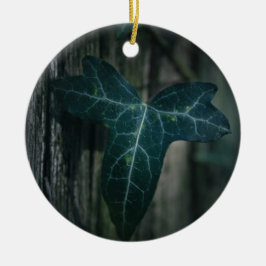 Dark Ivy Leaf Nature Foto Keramik Ornament
