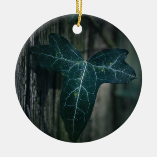 Dark Ivy Leaf Nature Foto Keramik Ornament (Vorne)
