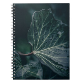 Dark Ivy Leaf Nature Foto Notizblock