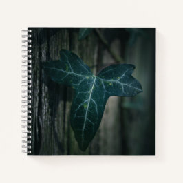 Dark Ivy Leaf Nature Foto Notizbuch