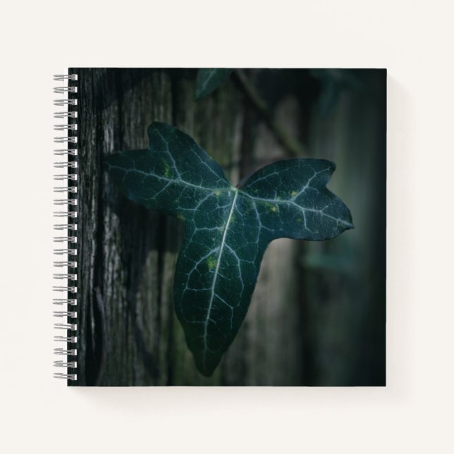 Dark Ivy Leaf Nature Foto Notizbuch (Vorderseite)
