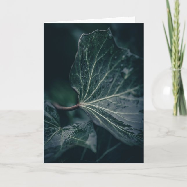 Dark Ivy Leaf Naturfotografie Karte (Vorderseite)