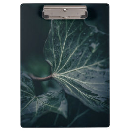 Dark Ivy Leaf Naturfotografie Klemmbrett