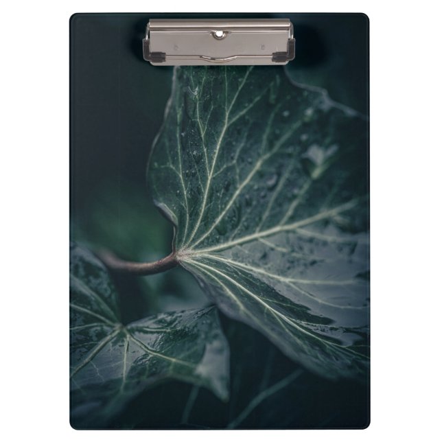 Dark Ivy Leaf Naturfotografie Klemmbrett (Vorderseite)