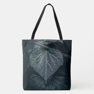 Dark Ivy Nature Foto
