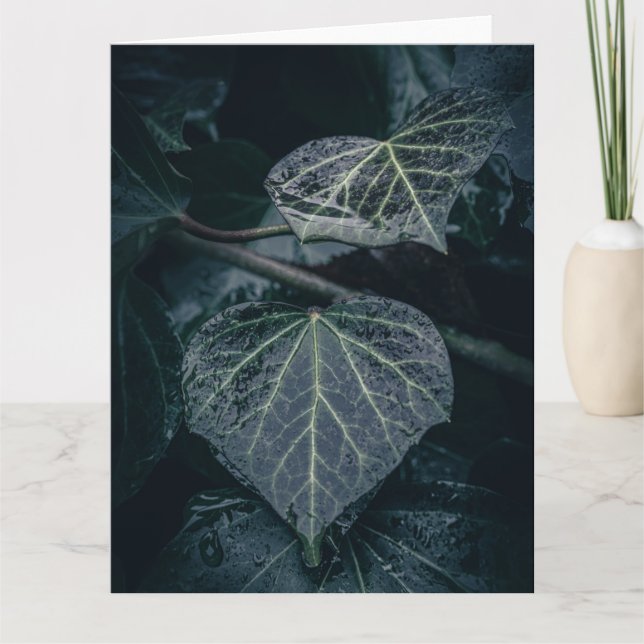 Dark Ivy Nature Foto Karte (Vorderseite)