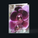 Dark Lila Moth Orchids Karte<br><div class="desc">Zwei schöne, vollständig offene, dunkle lila Phalaenopsis, Mottenorchideen mit Happy Birthday Text. Einfach mit Ihrem eigenen Text anpassen. Alle Textstile, Farben, Größen können an Ihre Bedürfnisse angepasst werden. Klicken Sie auf den Knopf "IT KENNEN", um den Text zu ändern, falls Sie ihn benötigen, und wählen Sie Ihren bevorzugten Schriftart aus....</div>
