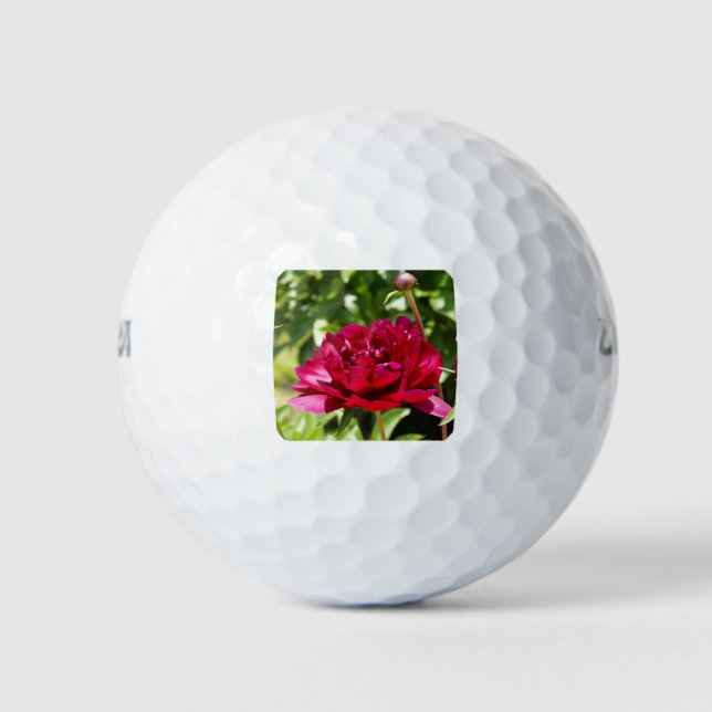 Dark Maroon Velvet-Bauern Golfball (Vorderseite)