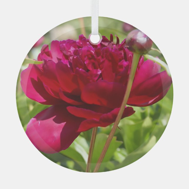 Dark Maroon Velvet-Bauern Ornament Aus Glas (Vorderseite)